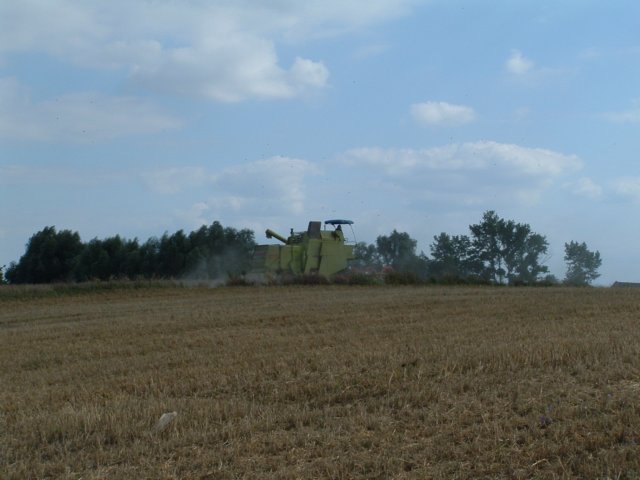 niwa.jpg