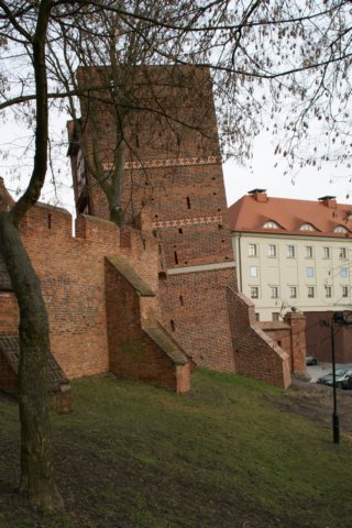 krzywawieawtoruniu4.jpg