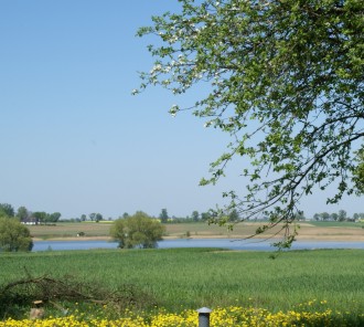 Dzia�ka na Stru�alu